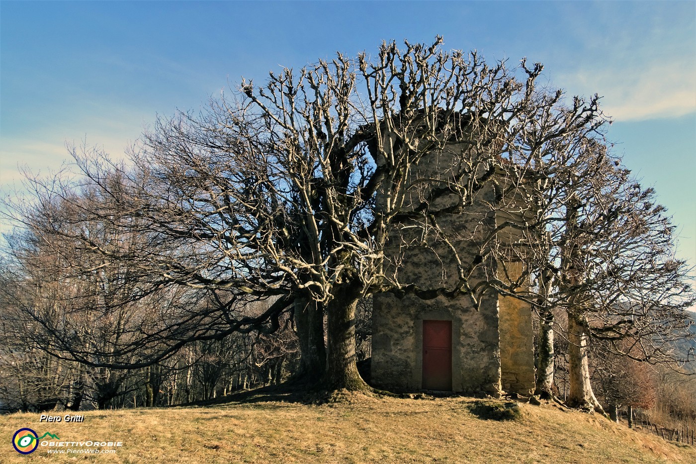 02 Architettura di piante al 'Rocol di Spadi'.JPG -                                